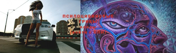 ешки Богородск