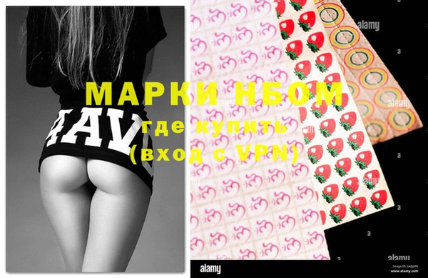 гашиш Богданович