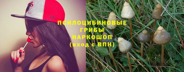 ешки Богородск